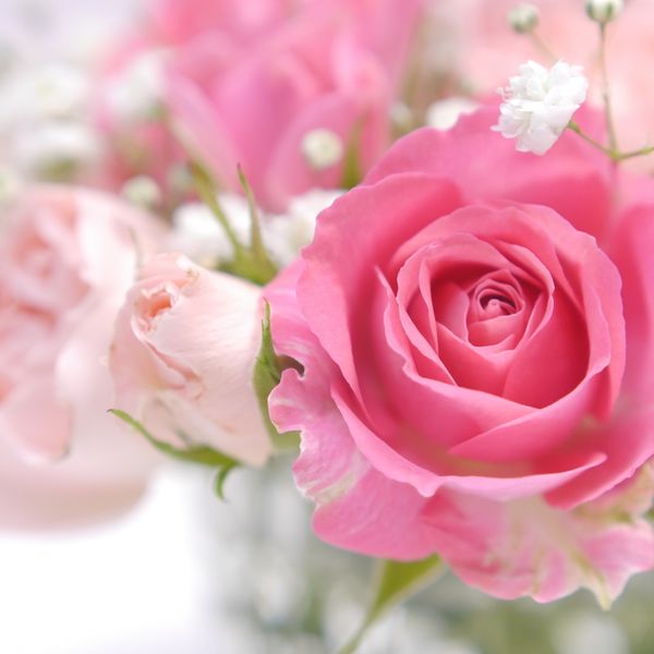 母の日にお花をプレゼントしたい方は下落合の花屋にご相談ください