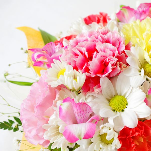 誕生日の贈り物をお探しでしたら下落合にある花屋にご相談ください