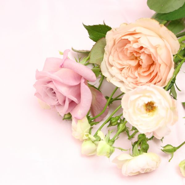 下落合でフラワーアレンジメントを扱う花屋をお探しの方におすすめです