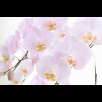 下落合にあるhana-fusaは多くの方からご好評いただいております