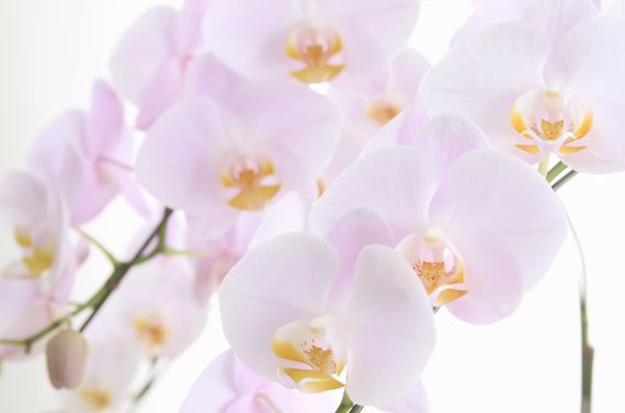 下落合にあるhana-fusaは多くの方からご好評いただいております