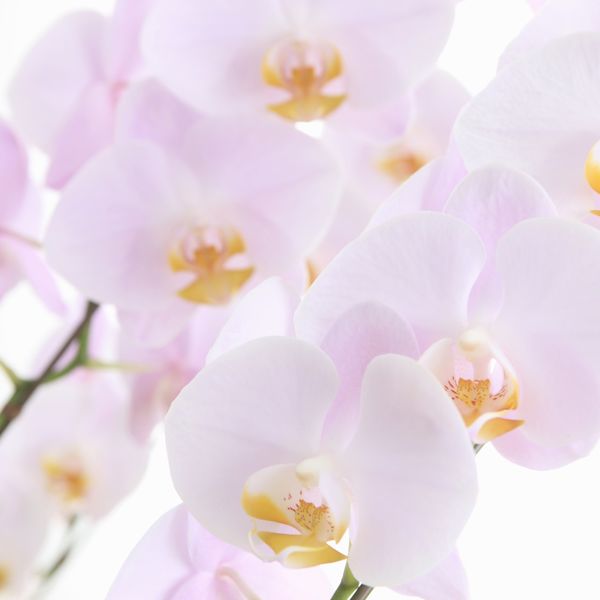 下落合にあるhana-fusaは多くの方からご好評いただいております